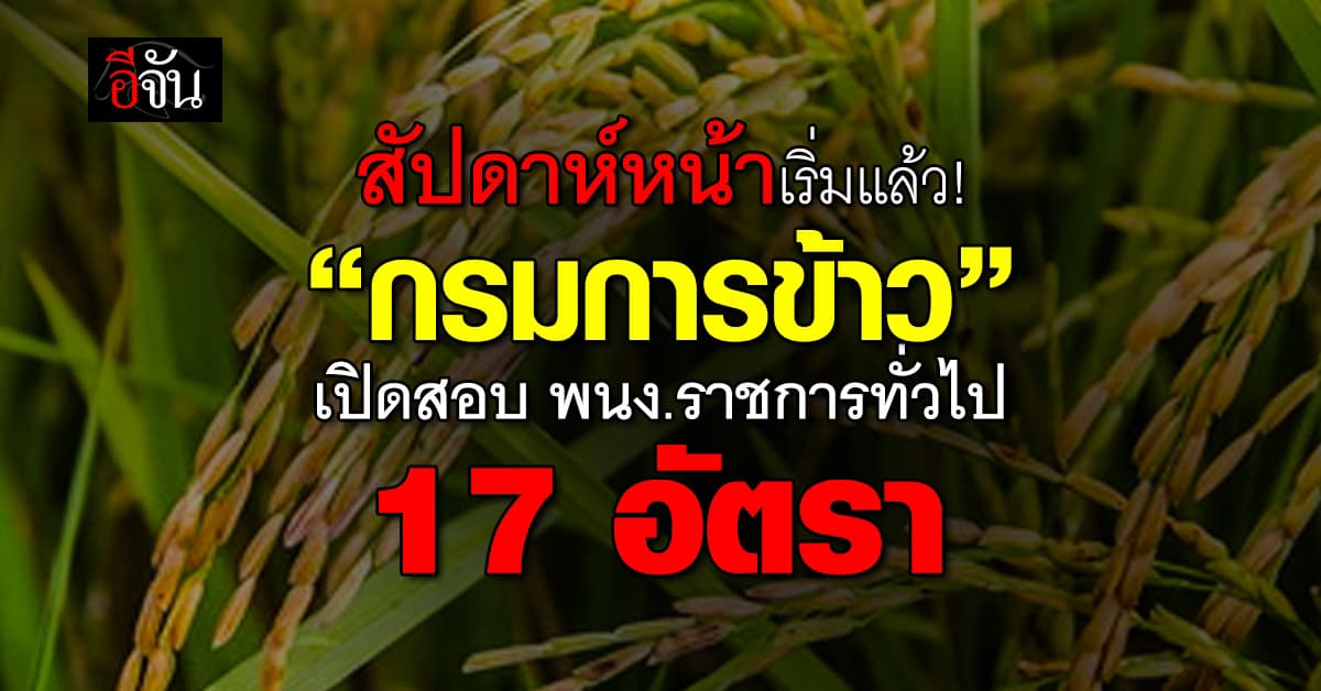 กรมการข้าว เปิดรับสมัครสอบเป็นพนักงานราชการทั่วไป 17 อัตรา 