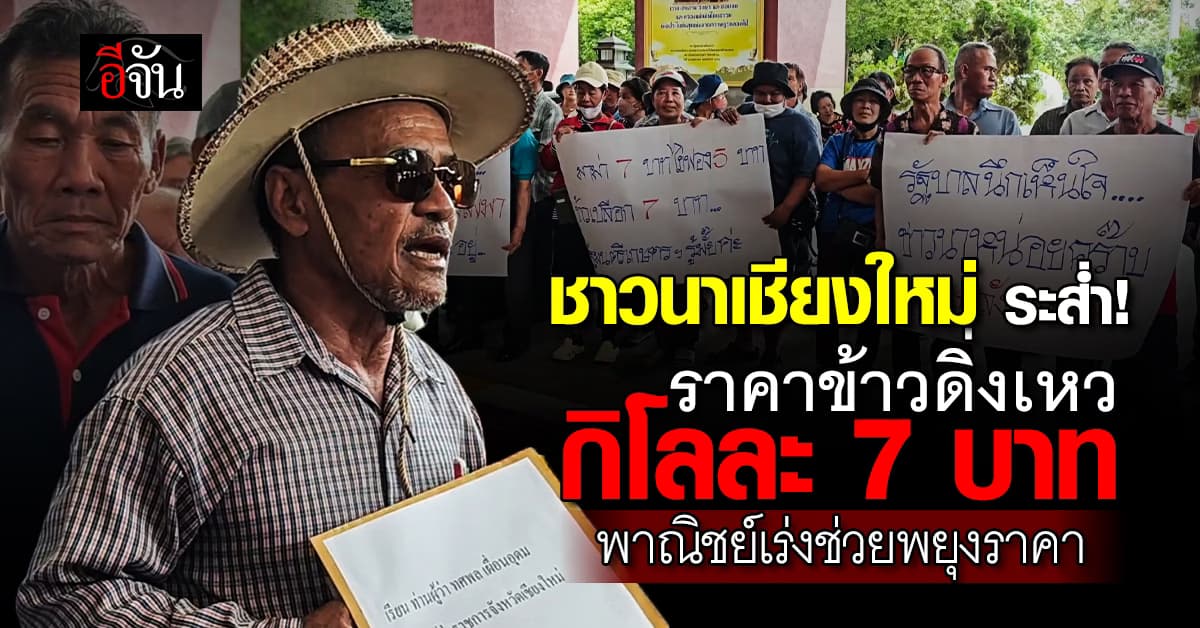 ชาวนา ระส่ำ! รวมตัวร้องรัฐฯ หลังราคาข้าวดิ่งเหว เหลือกิโลละ 7 บาท