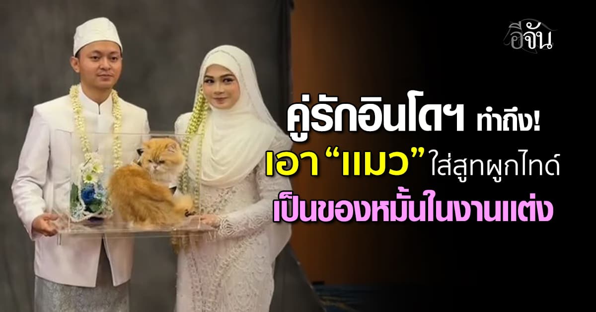 คู่รักอินโดฯครีเอทสุด! เจ้าบ่าว มอบของหมั้นเป็น “เเมว” ในงานเเต่ง