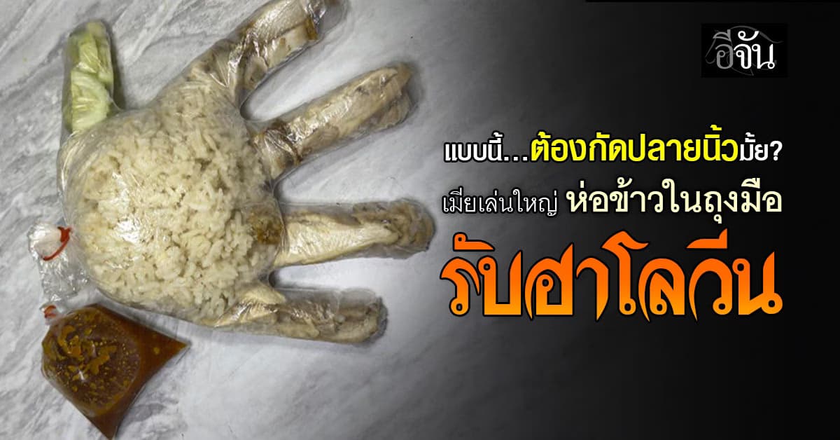 มีใครให้มากกว่านี้มั้ย? เมียเล่นใหญ่ ห่อข้าวในถุงมือ รับฮาโลวีน 