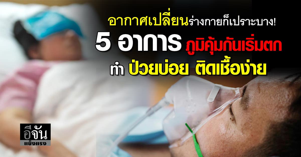 เริ่มไอจามเยอะมั้ย? ระวัง 5 อาการ อาจมาจาก “ภูมิคุ้มกันเริ่มตก” 
