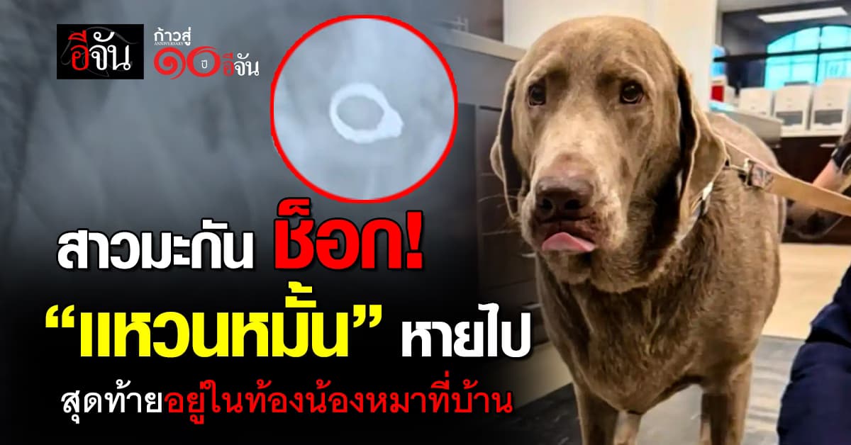 อึ้งหนัก! สาวมะกัน หาแหวนหมั้นไม่เจอ สุดท้ายหมาที่บ้านกินแหวนเข้าไป