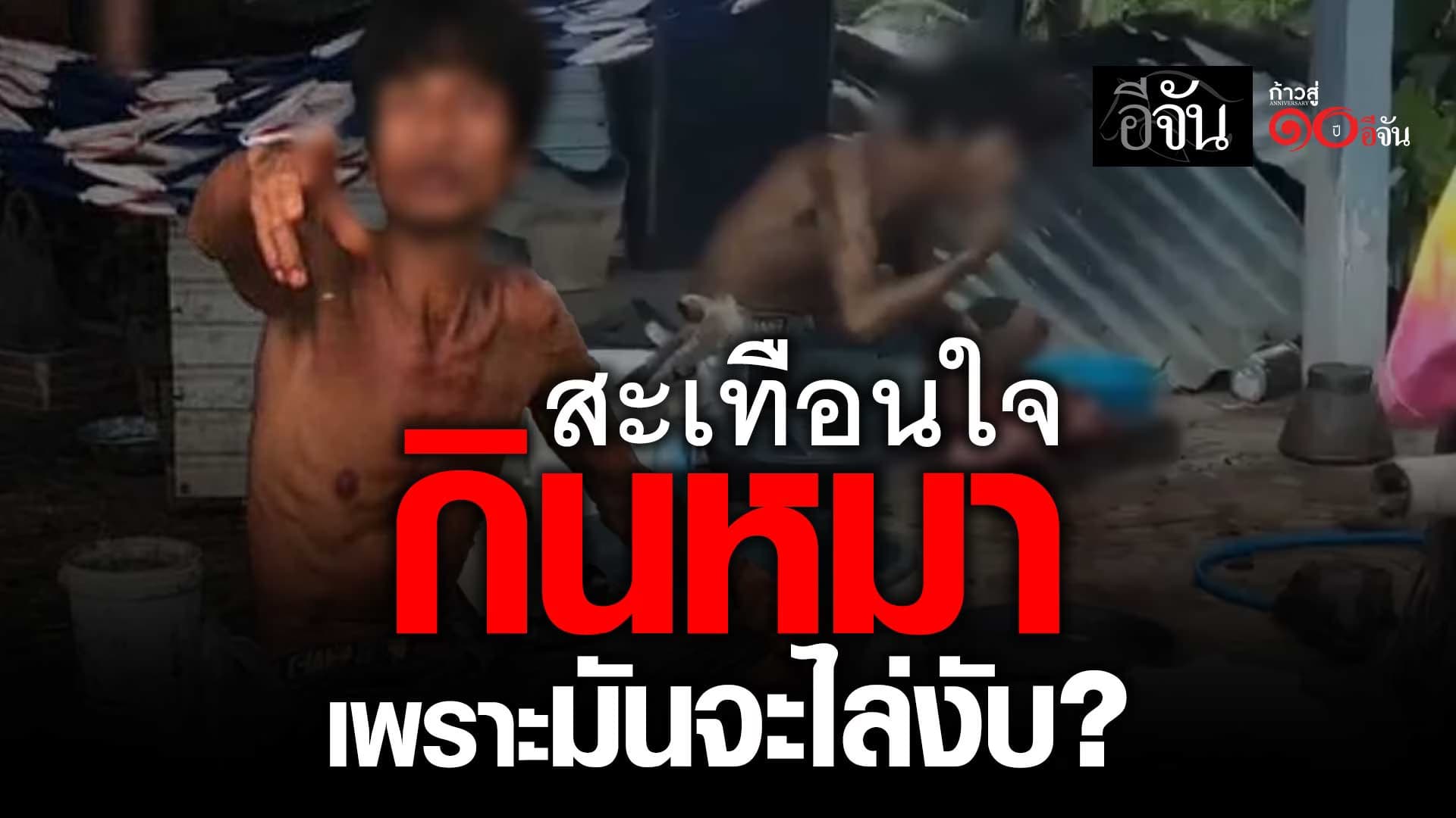 🎬 สะเทือนใจ กินหมา เพราะ มันจะไล่งับ?