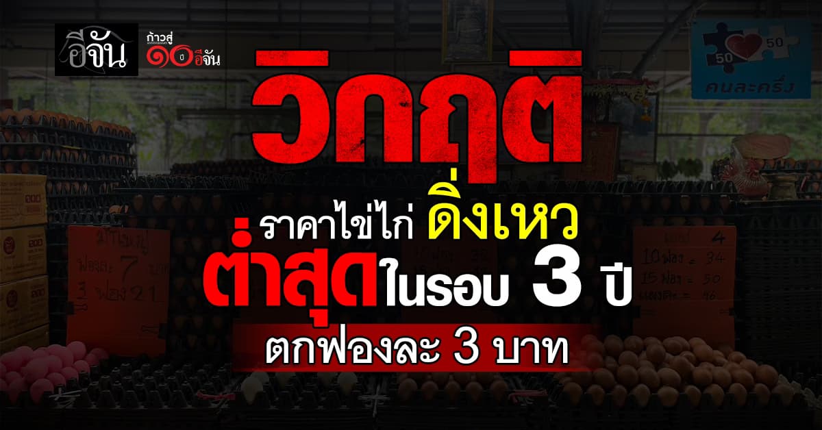 ราคาไข่ไก่ดิ่งต่ำสุดในรอบ 3 ปี เหลือฟองละ 3 บาท ผู้เลี้ยงโอดต้นทุนพุ่ง