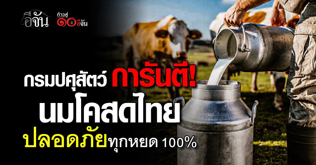 กรมปศุสัตว์ ยัน นมโคสดไทย ปลอดภัย 100%