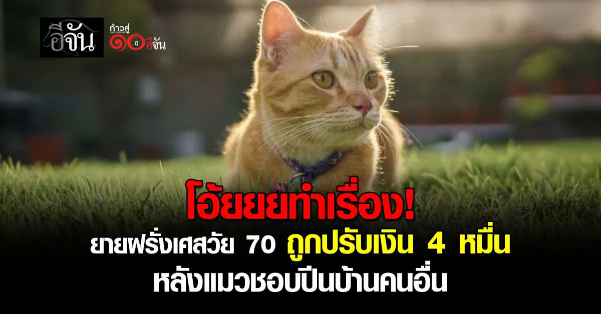 ยายชาวฝรั่งเศส ถูกปรับเงิน 4 หมื่น หลังเเมวปีนบ้านคนอื่น