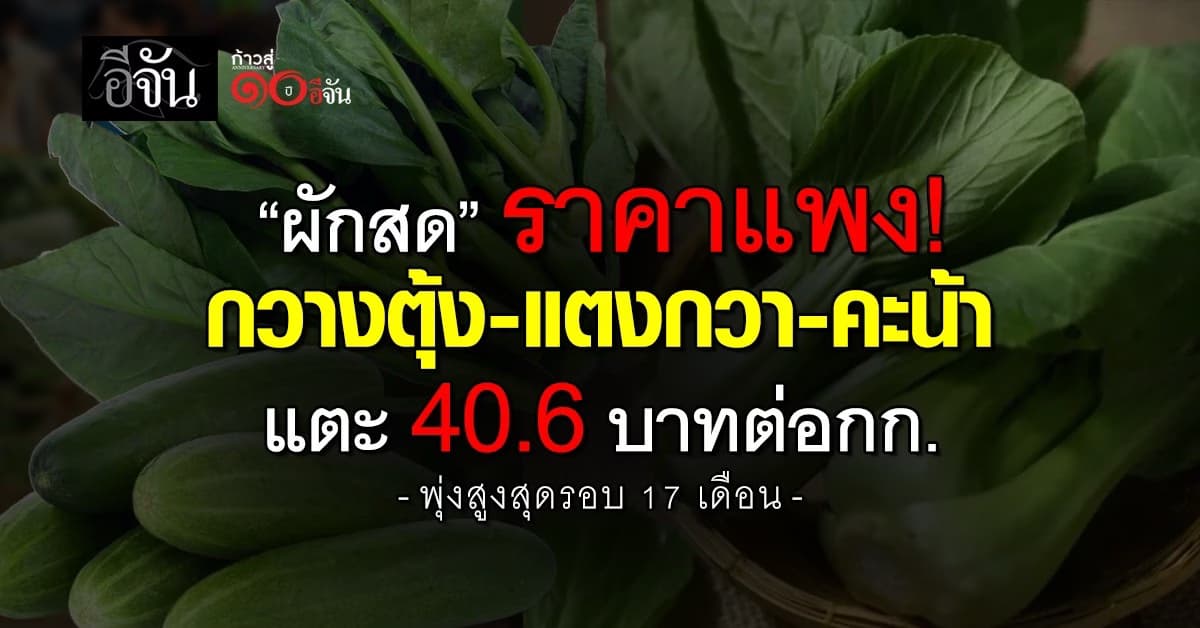 ผักสดราคาแพง พบกวางตุ้ง-แตงกวา-คะน้า แตะ 40.6 บาทต่อกก.