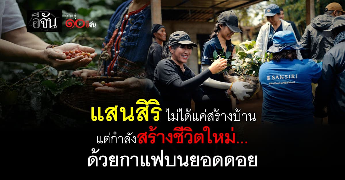 เมล็ดกาแฟแห่งความหวัง “จากยอดดอย… สู่โมเดลยั่งยืนของสังคมไทย”