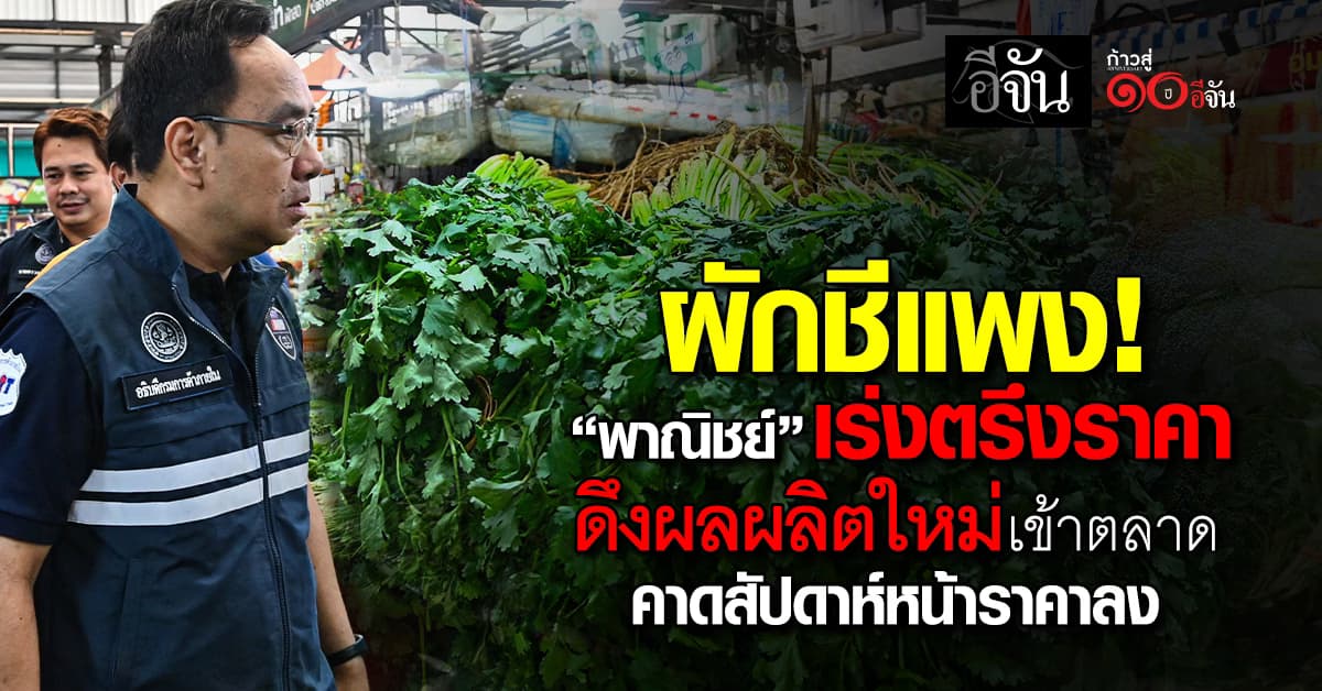 “DIT” สวนผักชีแพง! ลุยอัดผลผลิตแหล่งใหม่ เข้าแทนพื้นที่เสียหาย คาดสัปดาห์หน้าราคาลง