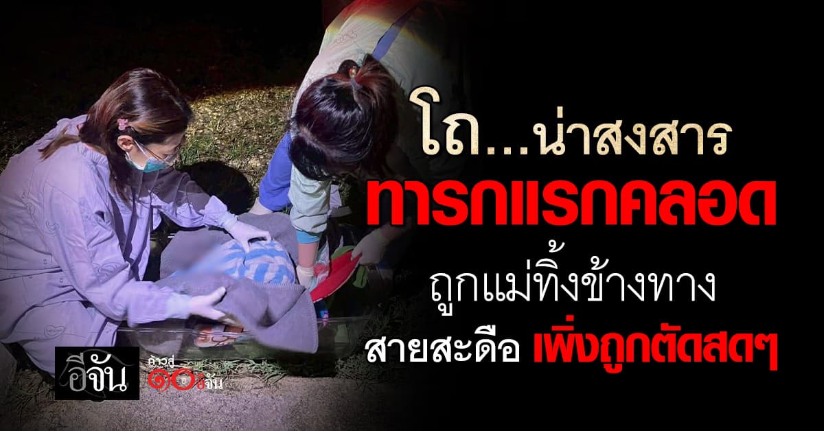 ทำไมทำกับหนูได้ลง ? เวทนาแม่ใจยักษ์ ทิ้งทารกน้อยไว้พงป่าข้างทาง ไม่ใยดี