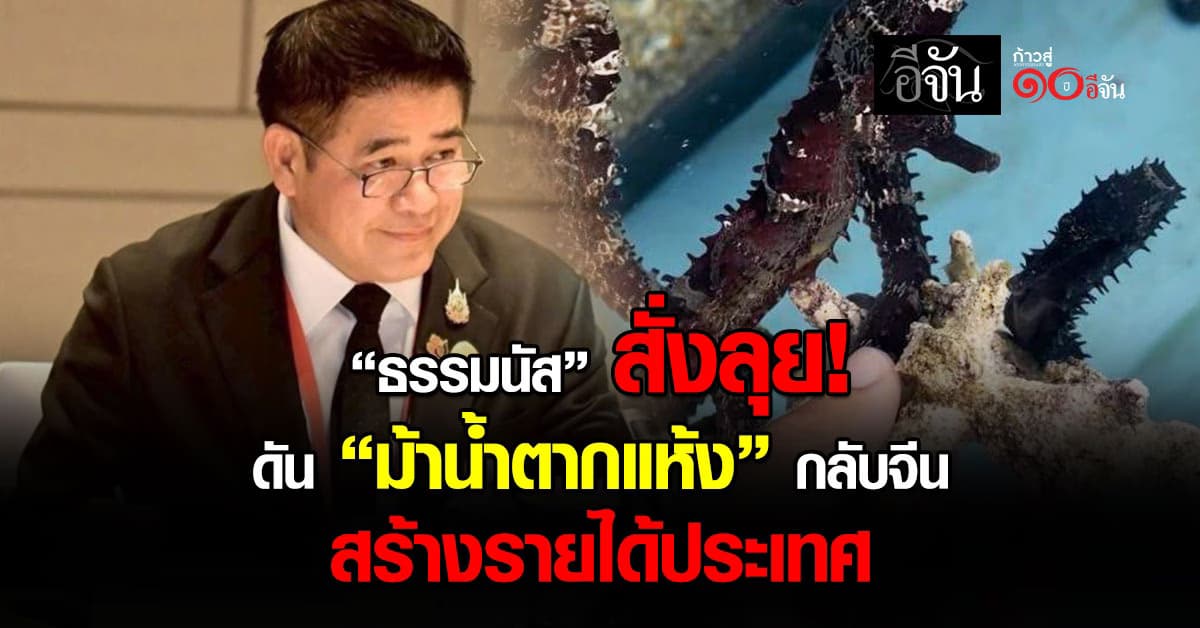 “ธรรมนัส” สั่งดัน “ม้าน้ำตากแห้ง” กลับสู่ตลาดจีน สร้างรายได้เกษตรกรไทย