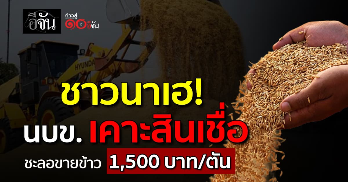ชาวนาเฮ! นบข. เคาะสินเชื่อ ชะลอขายข้าว 1,500 บาท/ตัน