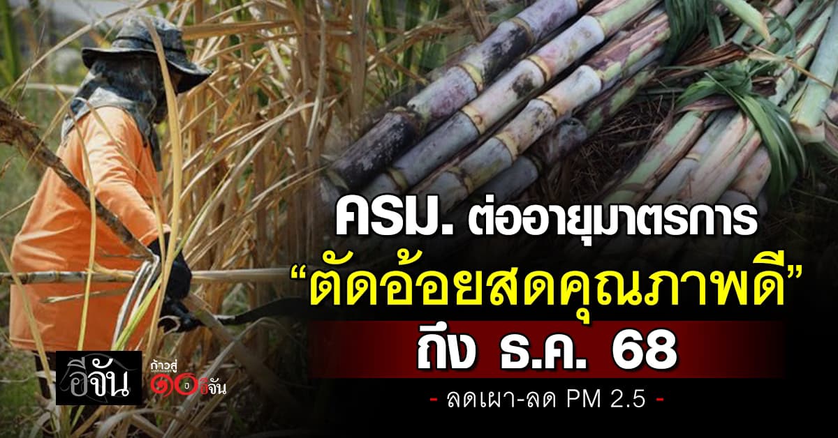 ครม. ต่ออายุมาตรการ “ตัดอ้อยสดคุณภาพดี”  ถึง ธ.ค. 68