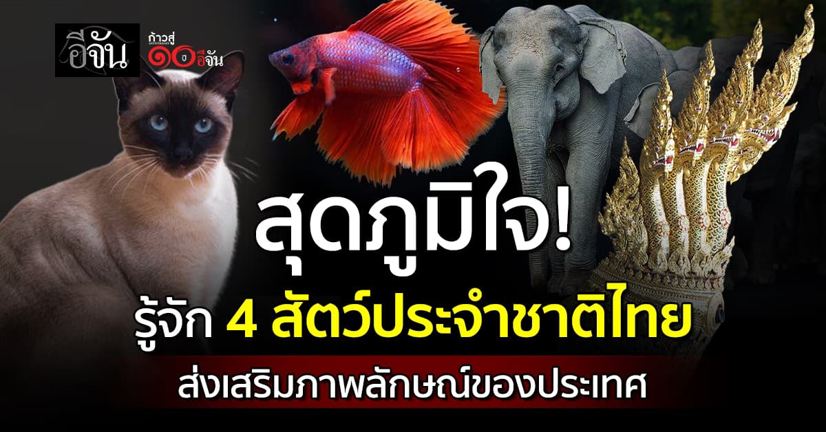สุดภูมิใจ! รู้จัก 4 สัตว์ประจำชาติไทย ส่งเสริมภาพลักษณ์ของประเทศ