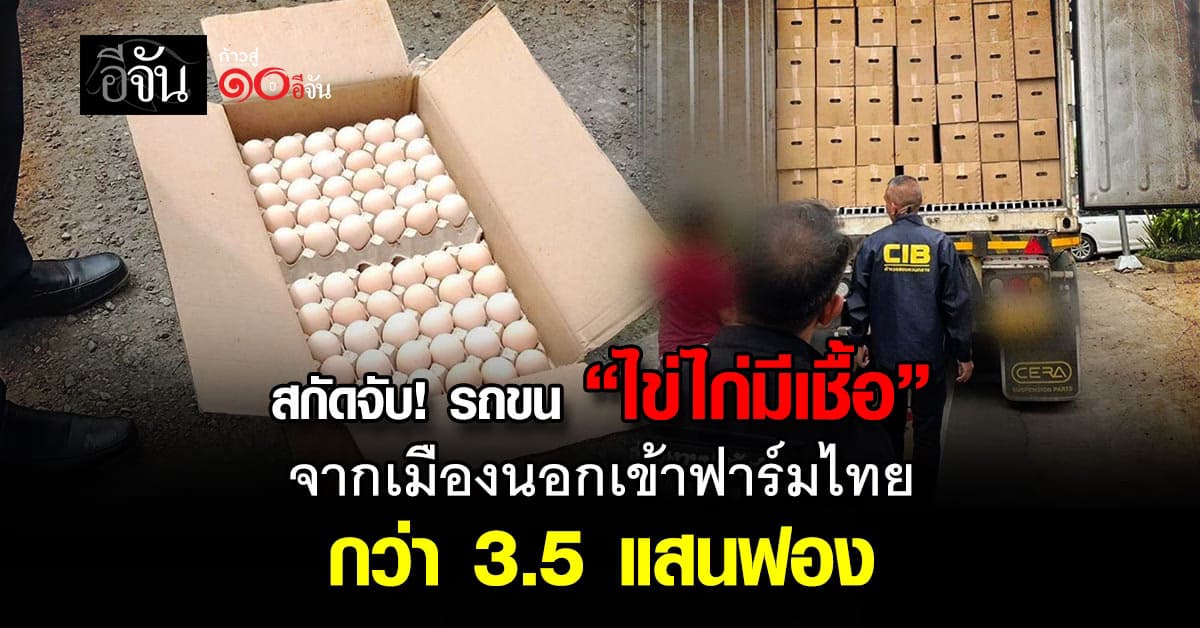 CIB  ดักจับ รถขน “ไข่ไก่มีเชื้อ” จากต่างประเทศเข้าไทย เสี่ยงเเพร่ระบาด  
