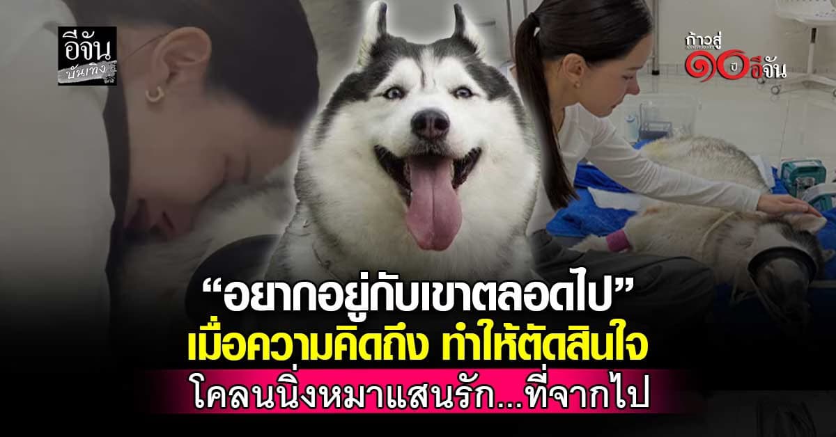 ประโยคบีบหัวใจ “อยากอยู่กับเขาตลอดไป” ก่อนตัดสินใจ ทำ โคลนนิ่งหมา สุดรัก!