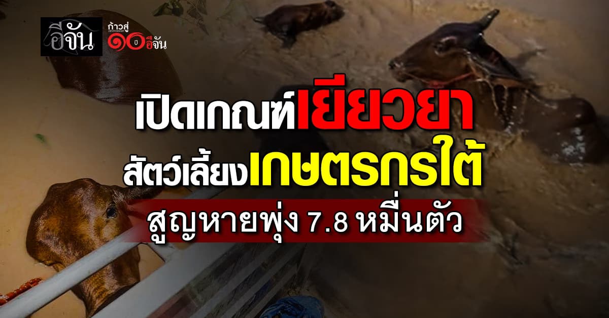 เปิดเงินเยียวยา “ปศุสัตว์” เกษตรกร 9 จังหวัดใต้