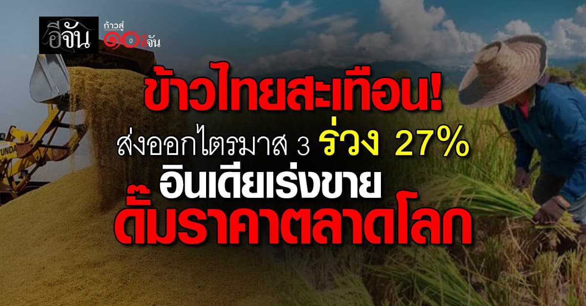 ข้าวไทยสะเทือน! ส่งออกไตรมาส 3 ร่วง 27% “อินเดีย” เร่งระบายสต็อกดั๊มราคาตลาดโลกลดฮวบ