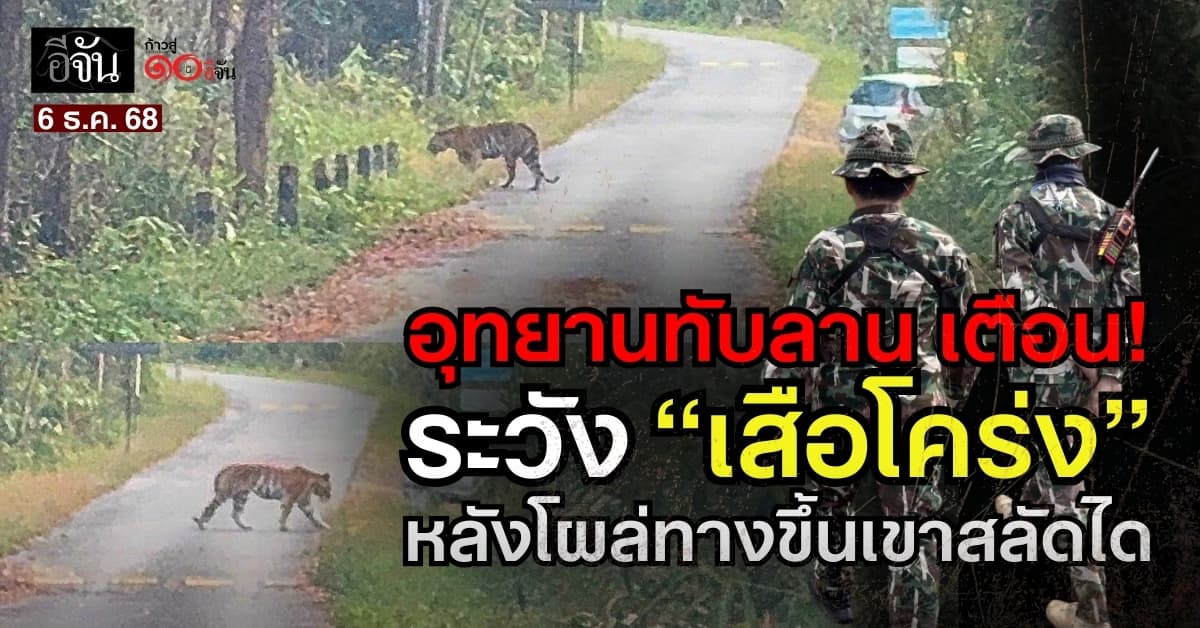 อุทยานแห่งชาติทับลาน เตือน! ระวัง “เสือโคร่ง” หลังโผล่ทางขึ้นเขาสลัดได 