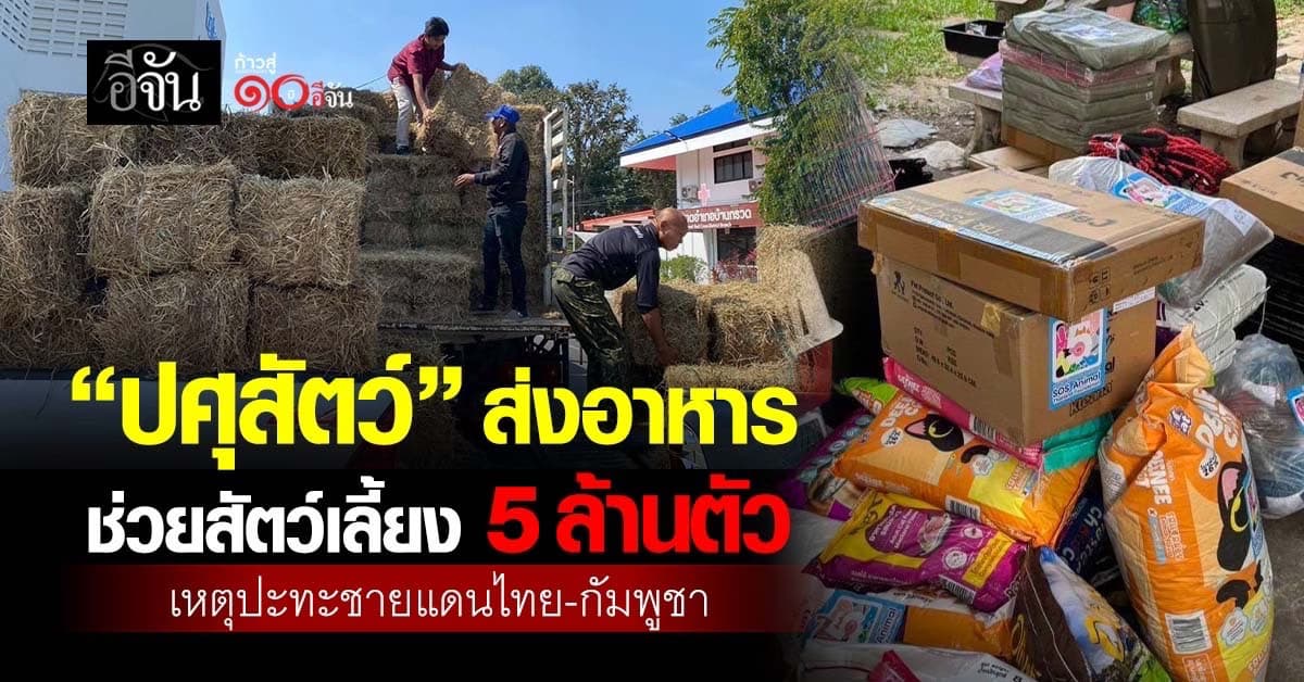 “กรมปศุสัตว์” ส่งหญ้า อาหาร ช่วยสัตว์เลี้ยง 5 ล้านตัว เหตุปะทะชายแดนไทย-กัมพูชา