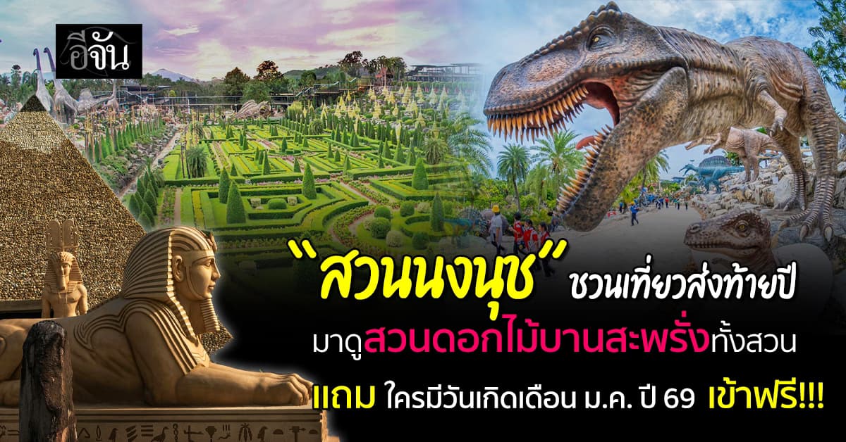 เทให้หมดหน้าตัก! “สวนนงนุช” ชวนเที่ยวส่งท้ายปี  มาดูสวนดอกไม้บานสะพรั่งทั้งสวน 