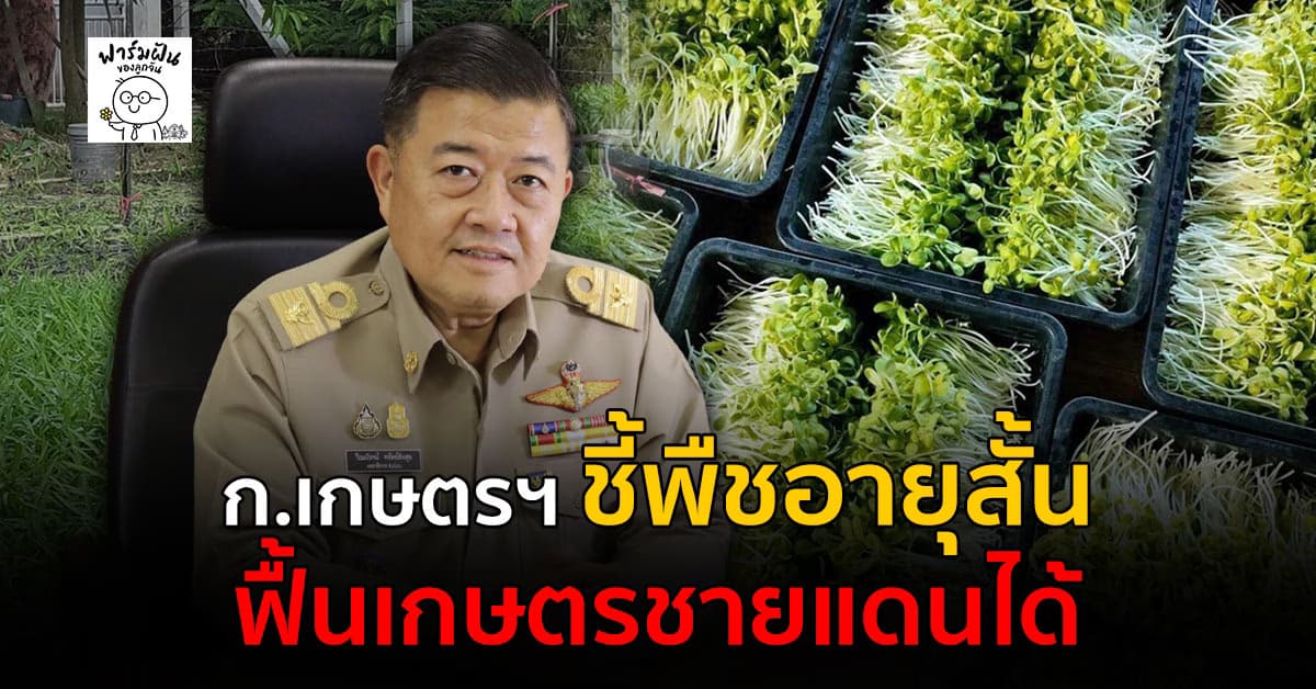 กระทรวงเกษตรฯ ชี้พืชอายุสั้นฟื้นเกษตรชายแดนได้!