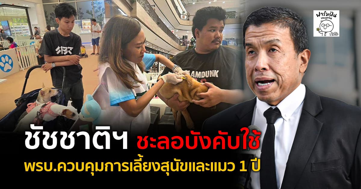 ชัชชาติฯ ชะลอบังคับใช้ พรบ.ควบคุมการเลี้ยงสุนัขและแมว 1 ปี  