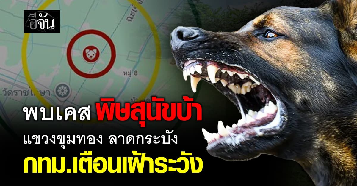 กทม.เตือนเฝ้าระวัง หลังพบเคสพิษสุนัขบ้า ที่แขวงขุมทอง ลาดกระบัง 