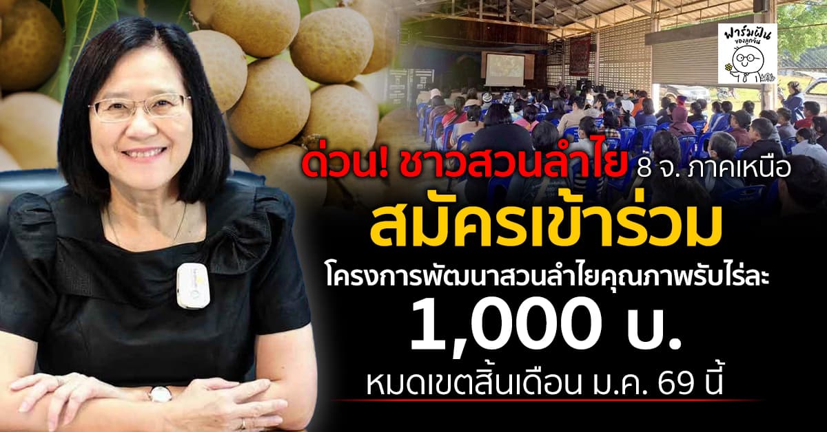 ชวนชาวสวนลำไย ภาคเหนือ สมัครเข้าร่วมโครงการพัฒนาสวนลำไยคุณภาพ รับไร่ละ 1,000 บาท