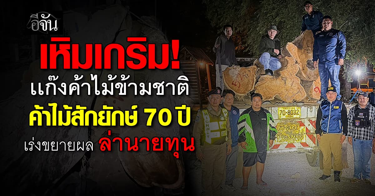 เหิมเกริม ! แก๊งค้าไม้ ตัดไม้สักอายุ 70 ปี เตรียมส่งออกนอกประเทศ