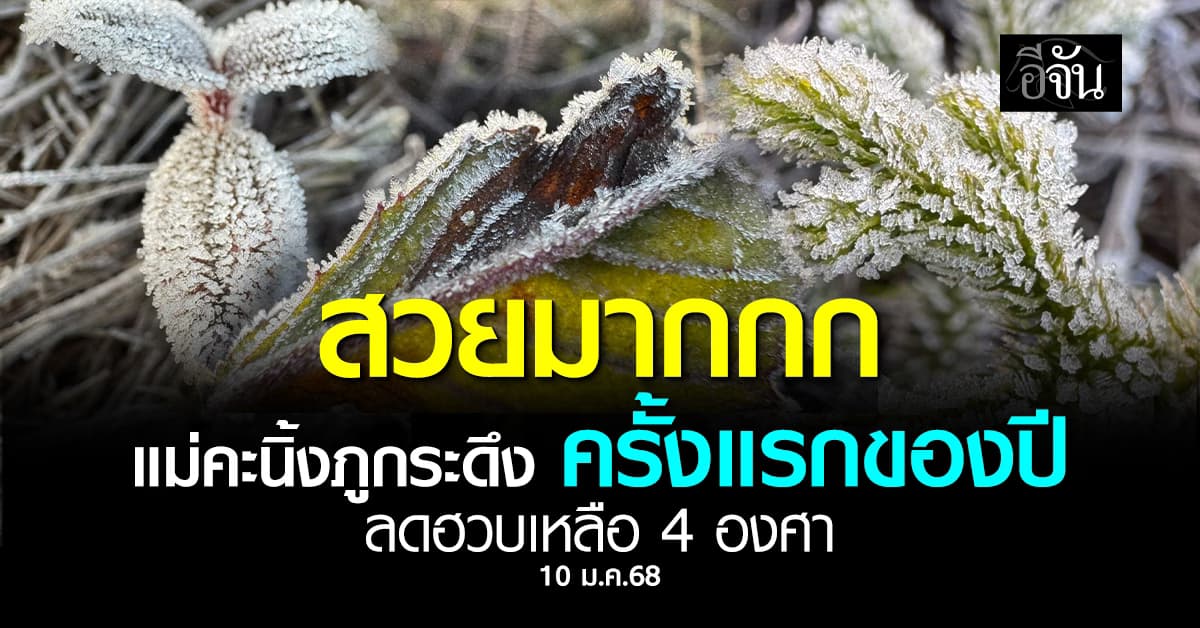 มาแล้ววว แม่คะนิ้งภูกระดึง ครั้งแรกของปี 69 อุณหภูมิลดฮวบเหลือ 4 องศา