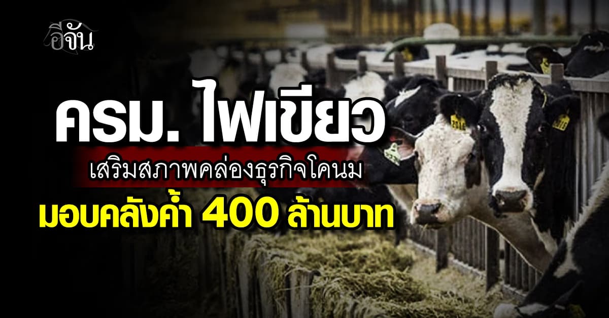 ครม. ไฟเขียว  เสริมสภาพคล่องธุรกิจโคนม มอบคลังค้ำ 400 ล้านบาท นาน 3 ปี
