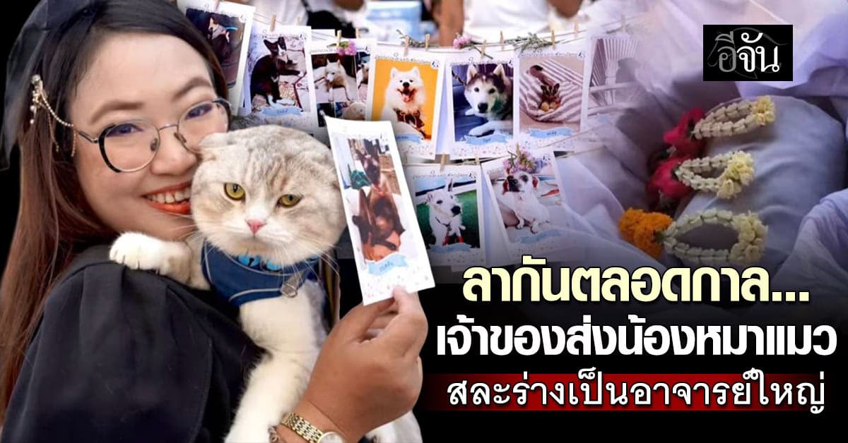 บอกลาครั้งสุดท้าย… นิสิตสัตวแพทย์ร่วมใจกันทำบุญ เพื่อรำลึกถึงอาจารย์ใหญ่ หมา แมว ผู้เสียสละ