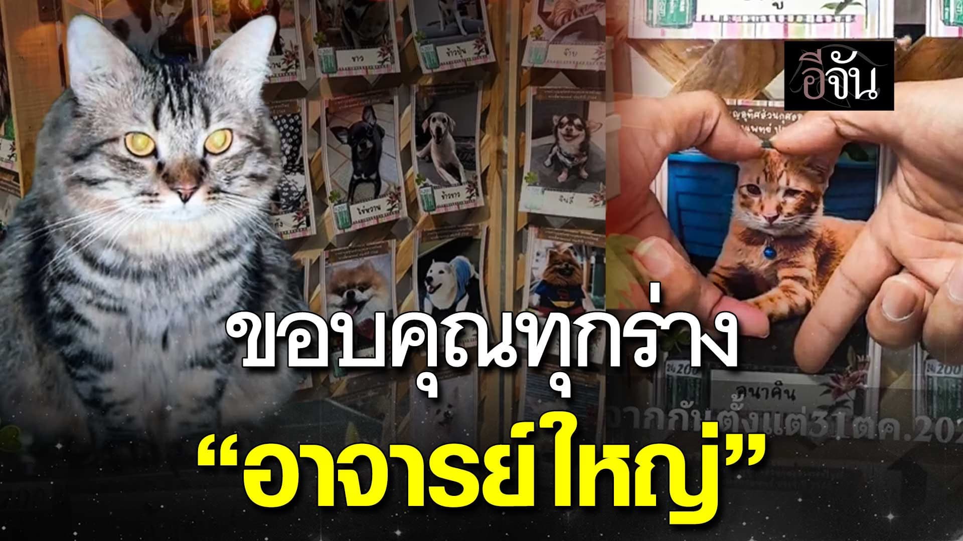 🎬 ขอบคุณทุกร่าง “อาจารย์ใหญ่”