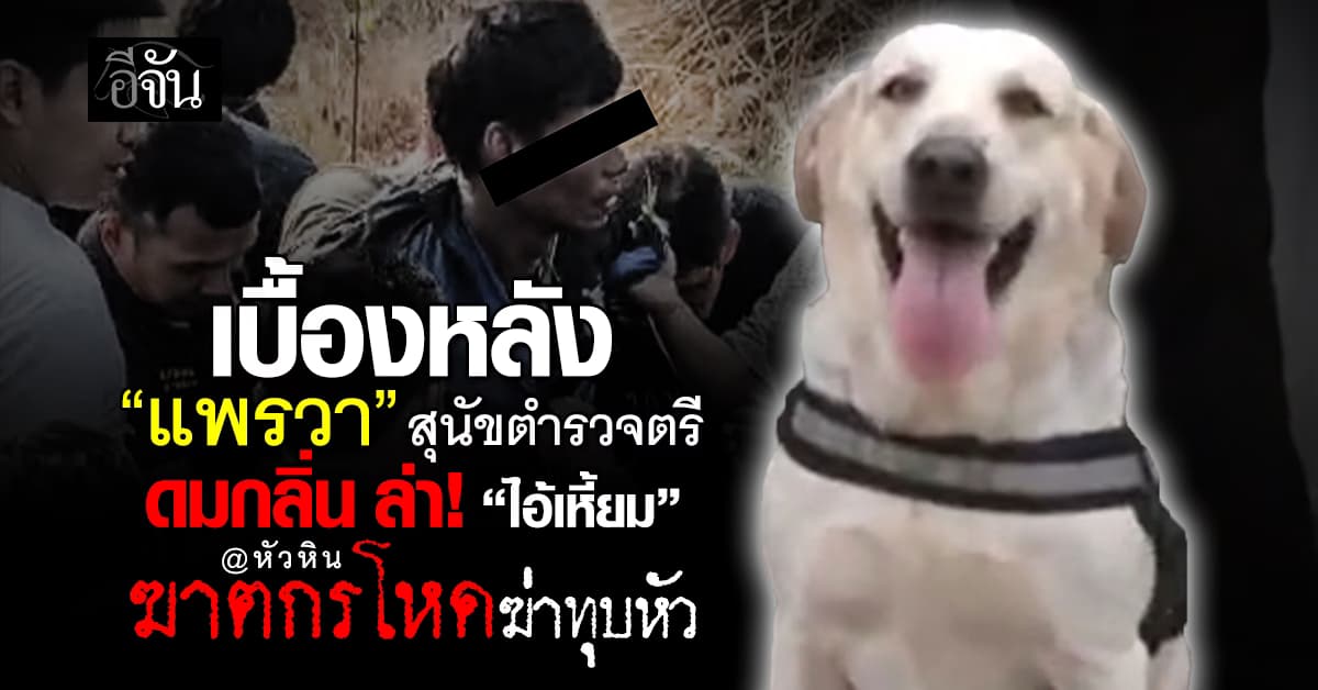 เบื้องหลัง “แพรวา” สุนัขตำรวจตรี ดมกลิ่น ล่า! “ไอ้เหี้ยม” ฆาตกรโหดฆ่าทุบหัว ที่หัวหิน