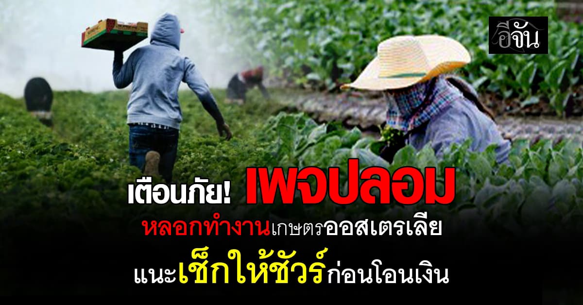 รัฐบาล เตือนภัย! เพจปลอม หลอกทำงานเกษตรออสเตรเลีย แนะเช็กให้ชัวร์ก่อนโอนเงิน