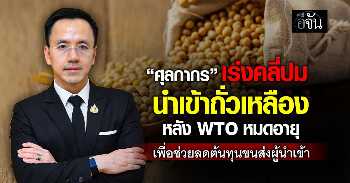 “ศุลกากร” เร่งคลี่ปม นำเข้าถั่วเหลือง หลัง WTO หมดอายุ เพื่อช่วยลดต้นทุนขนส่งผู้นำเข้า