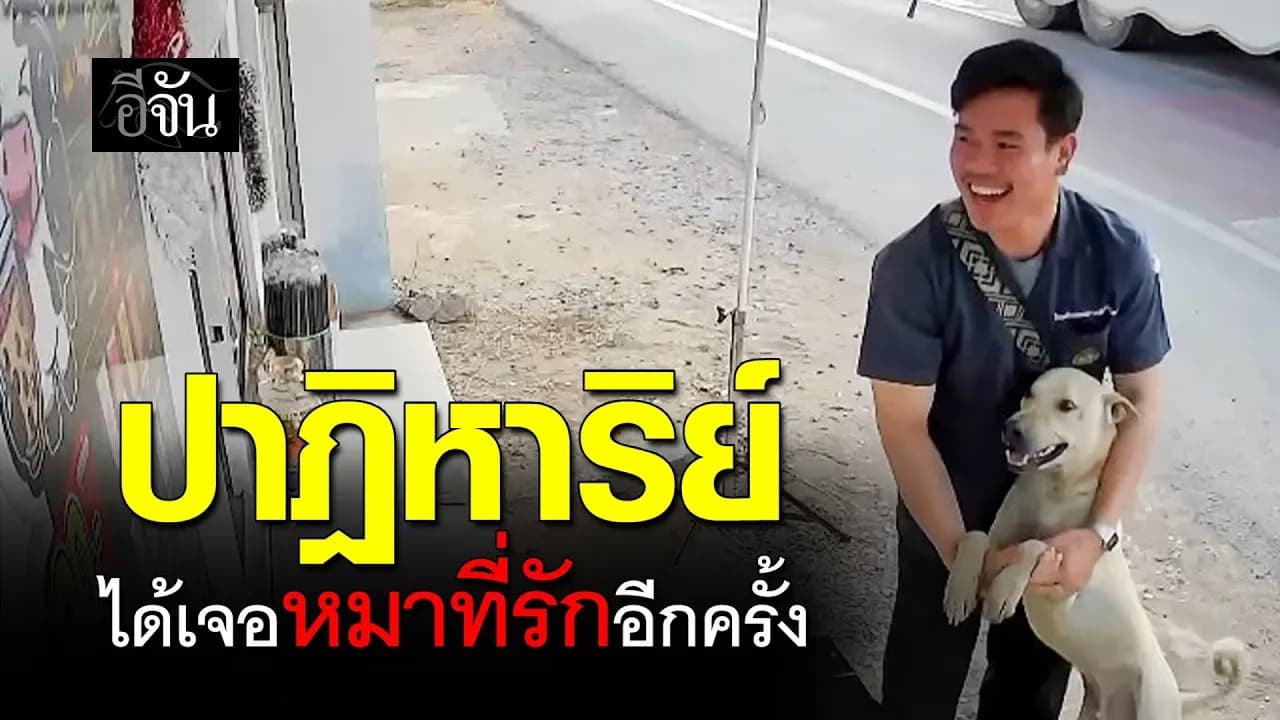 🎬 ปาฎิหาริย์ ได้เจอหมาที่รักอีกครั้ง