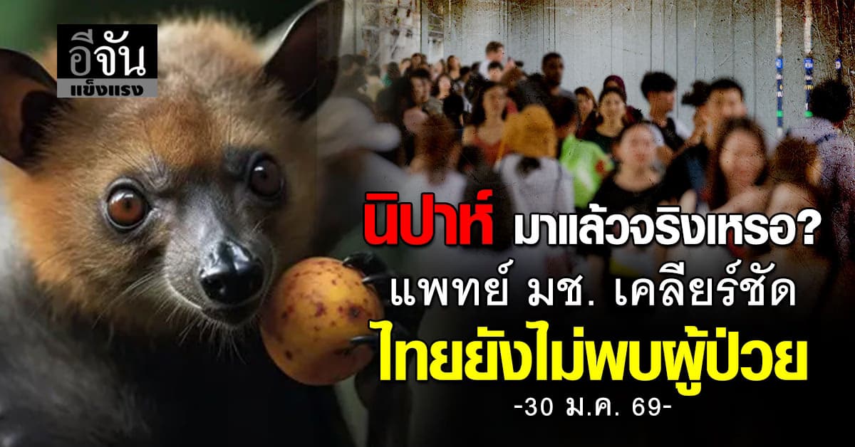 อย่าตระหนกตกใจ! แพทย์ มช. เคลียร์ชัด ไทยยังไม่พบผู้ป่วยไวรัสนิปาห์  