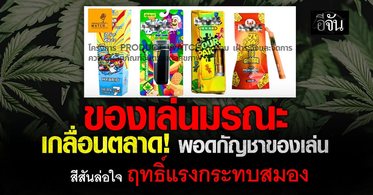 ของเล่นมรณะ เกลื่อนตลาด! พอดกัญชาสีสันล่อใจ ฤทธิ์แรงเสี่ยงสมองเสื่อม