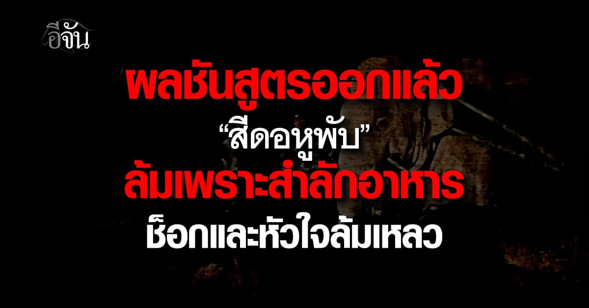 ผลชันสูตรชี้ชัด “สีดอหูพับ” ลม เพราะ สำลักอาหาร หัวใจล้มเหลว