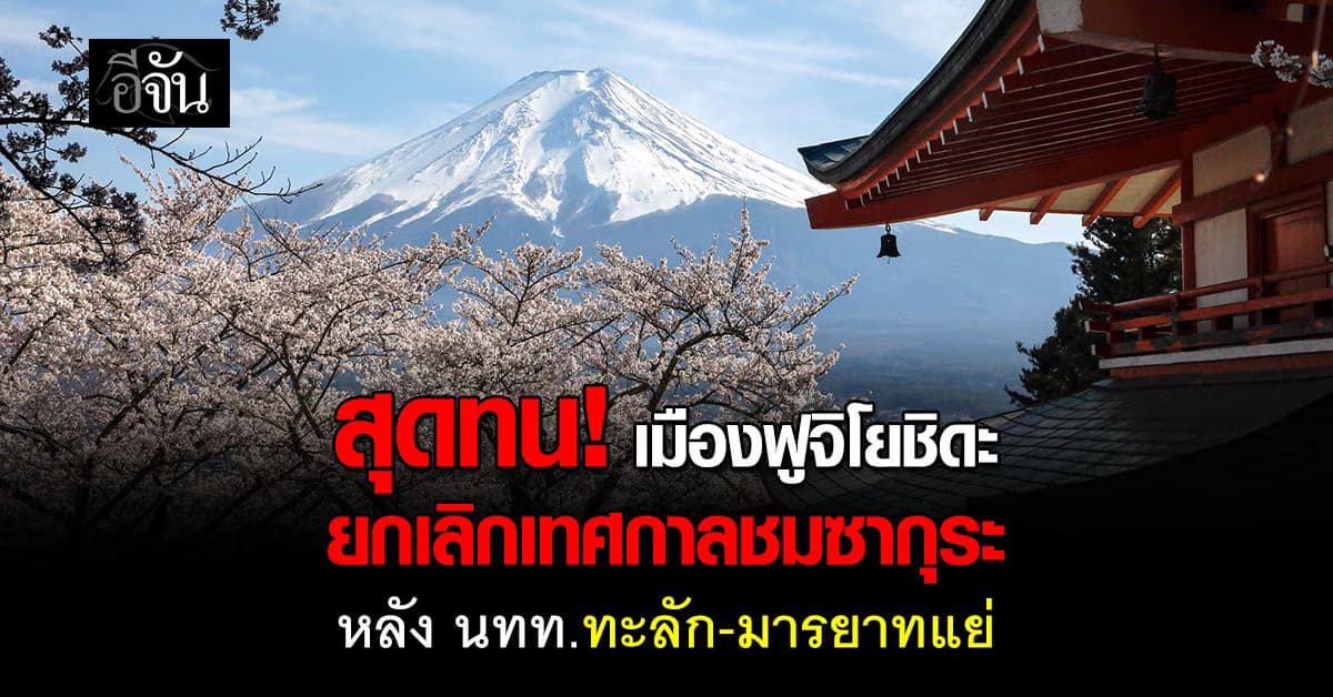 สุดทน! เมืองฟูจิโยชิดะ ยกเลิกเทศกาลชมซากุระ หลัง นทท.ทะลัก-มารยาทแย่ 