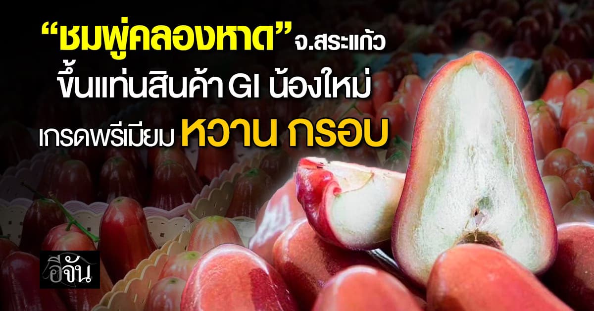 พณ ขึ้นทะเบียน “ชมพู่คลองหาด” ของดีสระแก้ว เป็น GI น้องใหม่