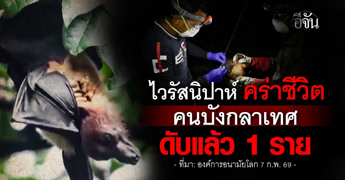 น่าห่วง! ไวรัสนิปาห์ คร่าชีวิต คนบังกลาเทศ แล้ว 1 ราย  