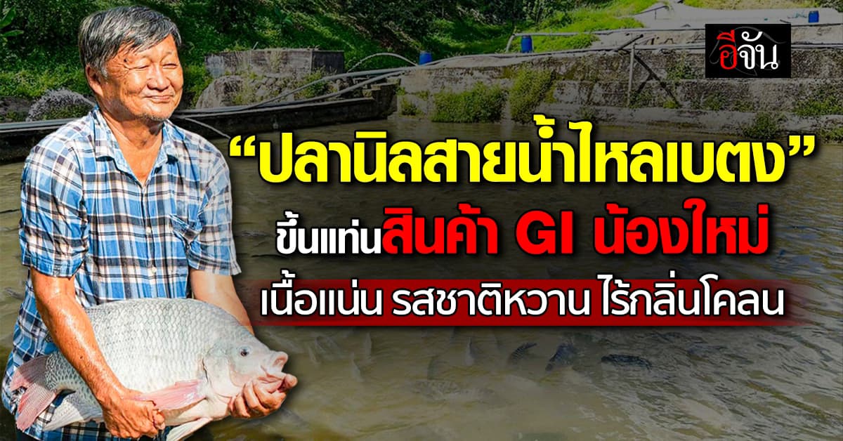 “ปลานิลสายน้ำไหลเบตง” ขึ้นแท่นสินค้า GI น้องใหม่ สร้างรายได้เกษตรกร 19 ล้านบาทต่อปี
