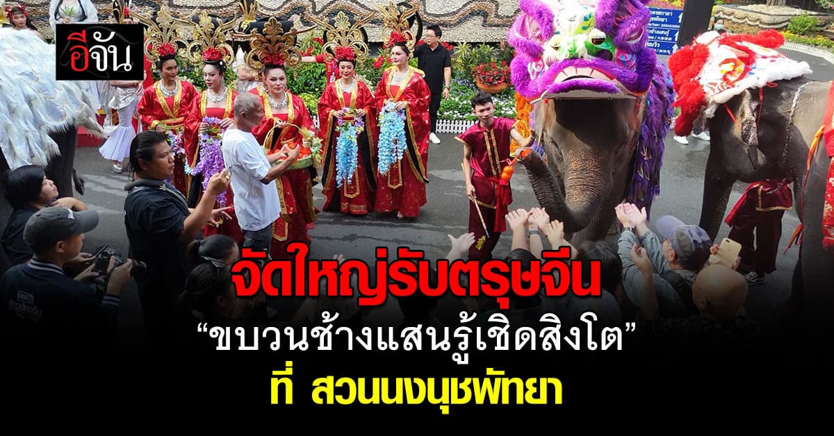 จัดใหญ่รับตรุษจีน2569 “ขบวนช้างแสนรู้เชิดสิงโต” ที่ สวนนงนุชพัทยา  