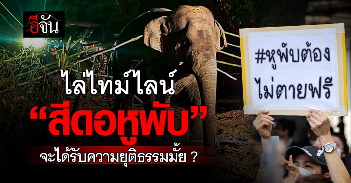  ไล่ไทม์ไลน์ “สีดอหูพับ”จะได้รับความยุติธรรมมั้ย?