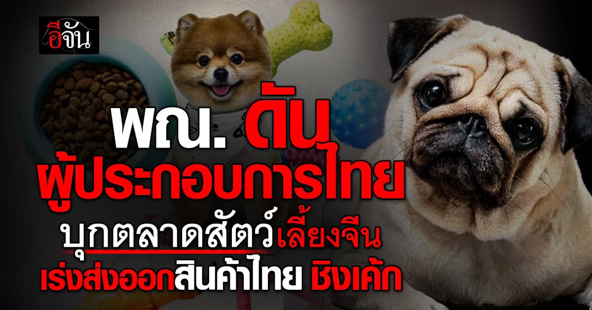 พาณิชย์ ดันผู้ประกอบการไทย บุกตลาดสัตว์เลี้ยงจีน เร่งส่งออกสินค้าไทย ชิงเค้ก