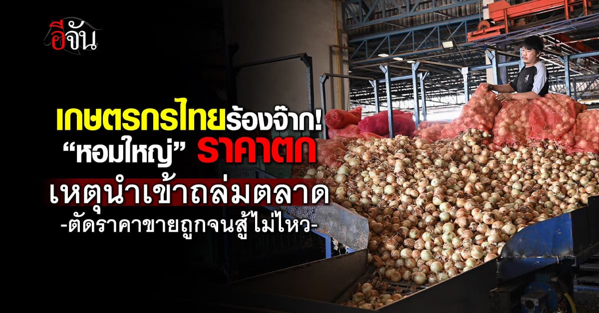 “หอมใหญ่” ราคาตก เหตุนำเข้าถล่มตลาด ตัดราคาขายถูกจนสู้ไม่ไหว