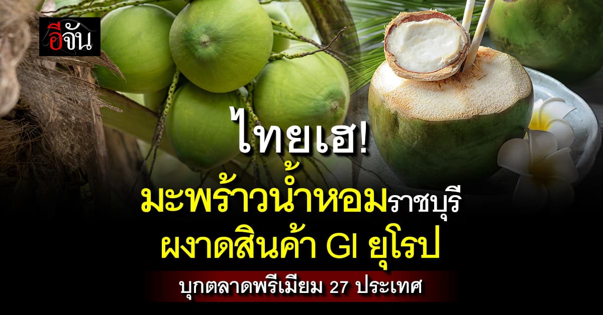สุดปัง “มะพร้าวน้ำหอมราชบุรี” ผงาดสินค้า GI ยุโรป  ปั้นส่งออกตลาดพรีเมียม 27 ประเทศ